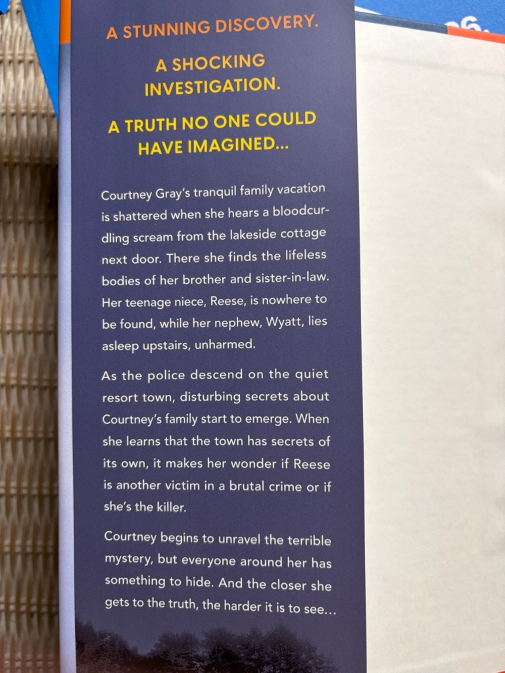 NWT- Book of the Month - It’s Not Her by Mary Kubica - Picture 2 of 4